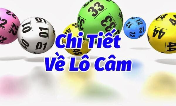 Kinh nghiệm chơi lô câm bất bại 2024