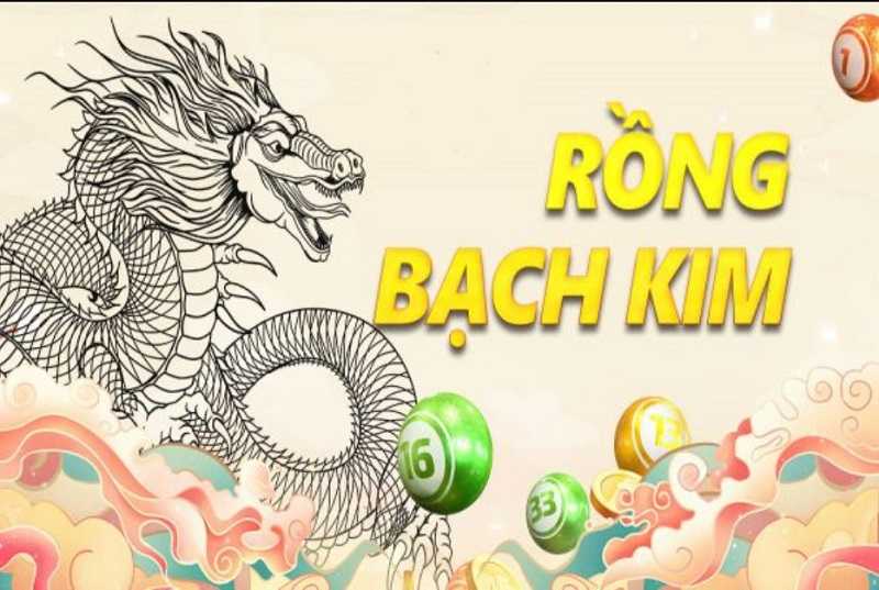Rồng Bạch Kim Rồng Bạch Kim