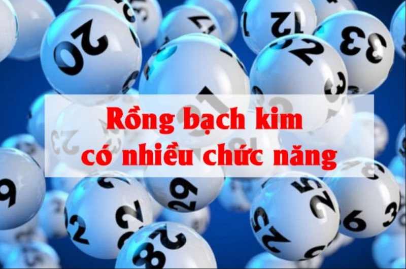 soi cầu rồng bạch kim