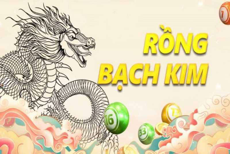 soi cầu rồng bạch kim