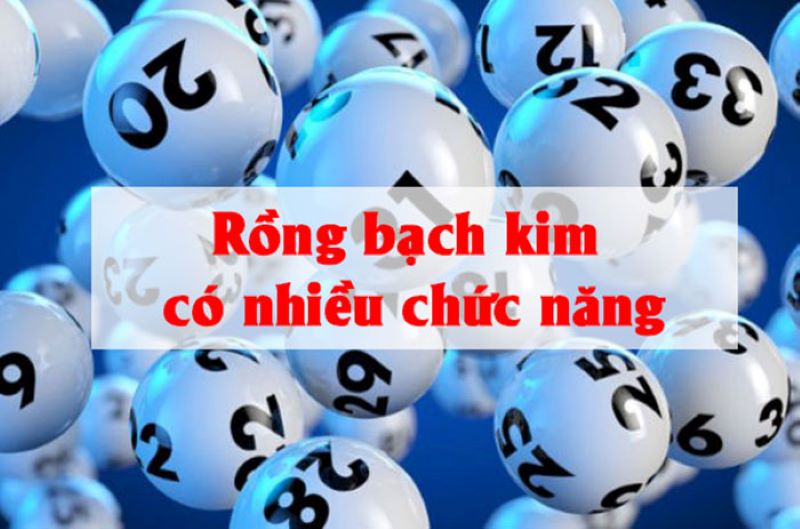 rồng bạch kim chính xác 100