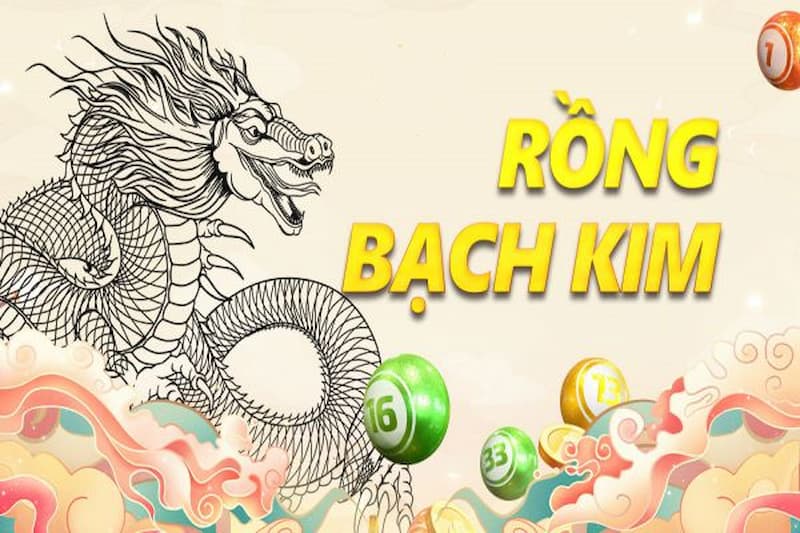 Tìm hiểu về rongbachkim