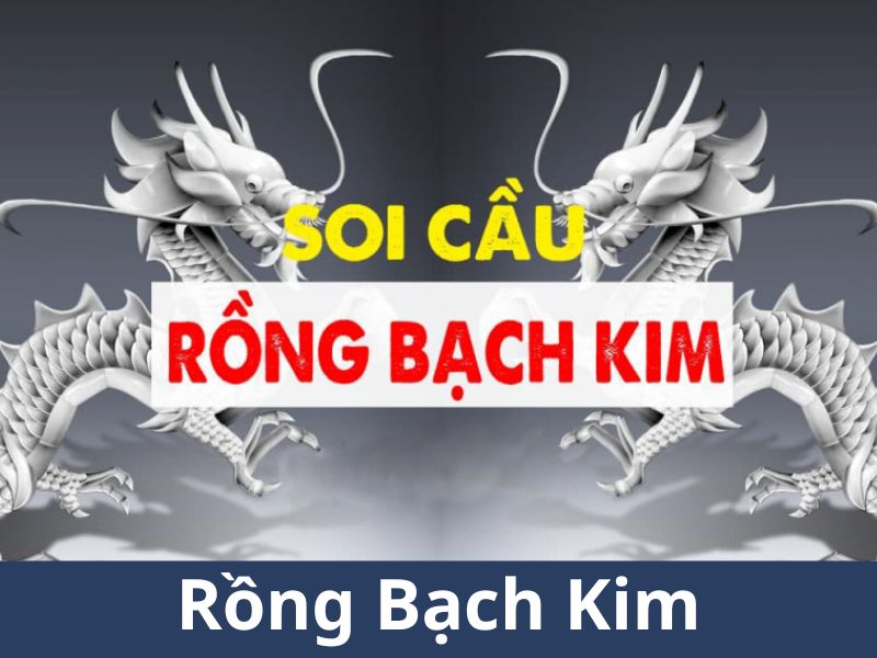 Tìm hiểu về Rông bach kim