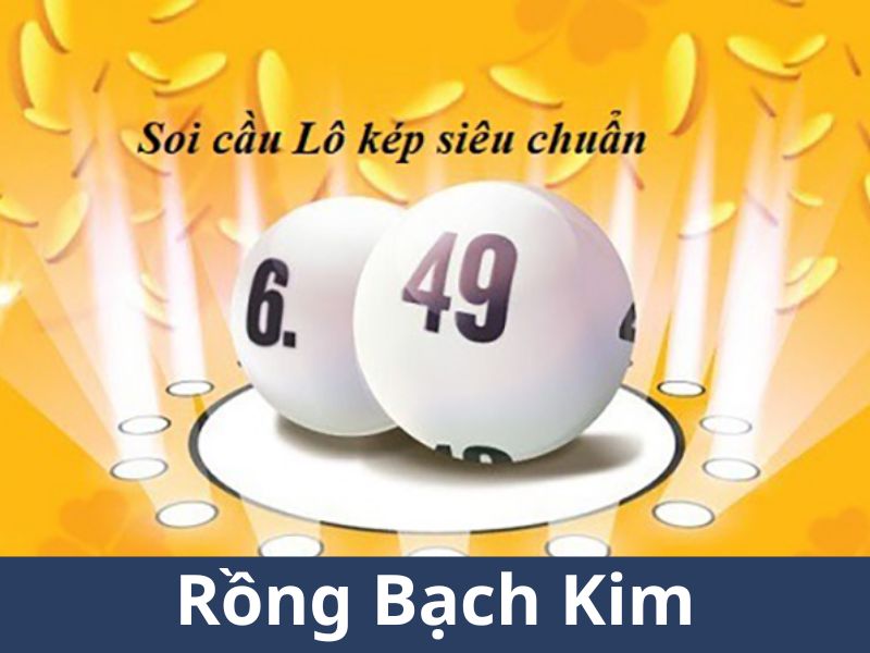 Tìm hiểu về rông bach kim