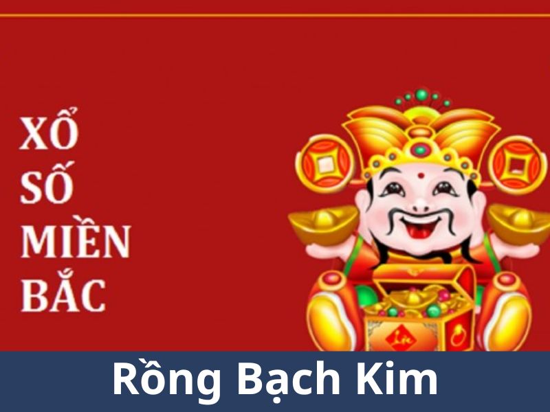 Tìm hiểu về rông bach kim