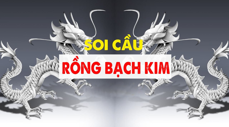 rồng bạch kim rồng bạch kim