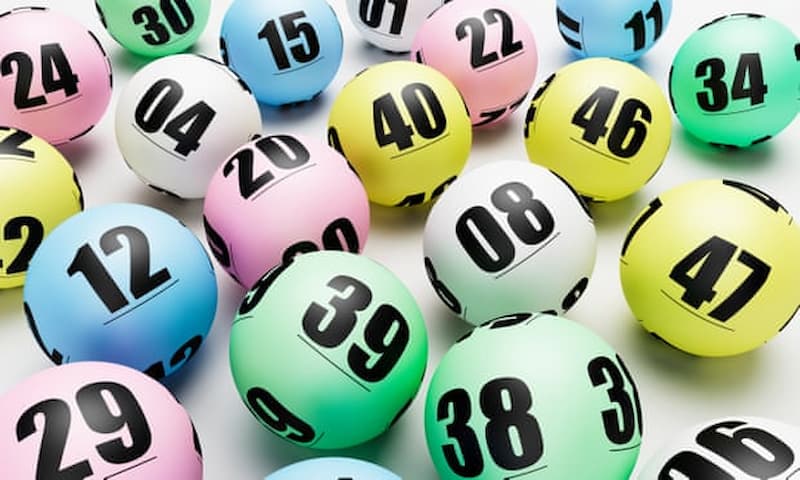 Rông bạch kim Rông bạch kim