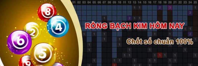 Rong Bach Kim Rong Bach Kim