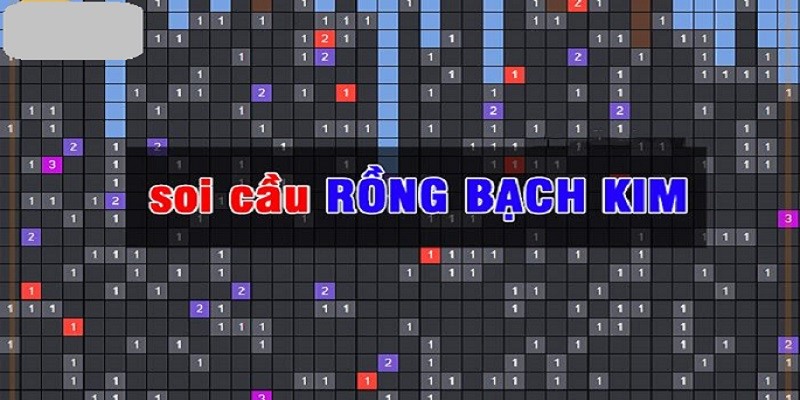 Tìm hiểu về rong bach kim