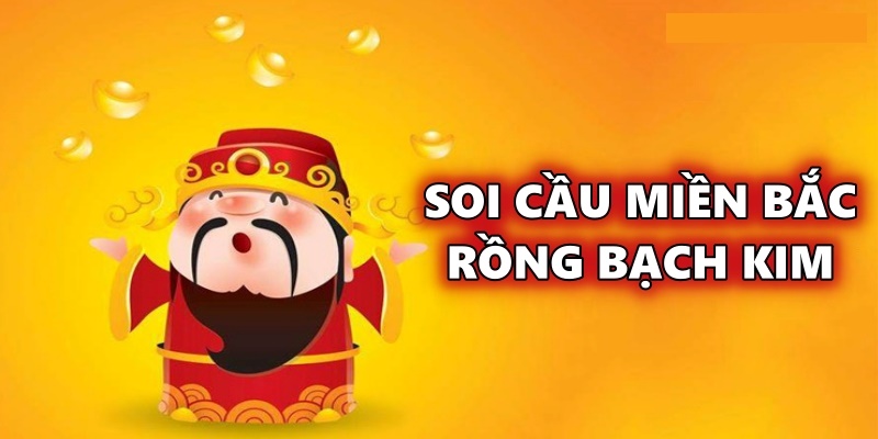 Tìm hiểu về rong bach kim