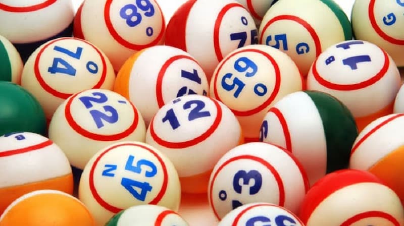 Tìm hiểu về Rông bạch kim