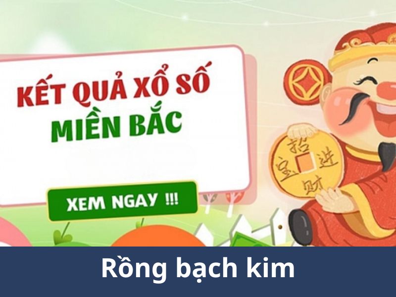 rông bach kim rông bach kim
