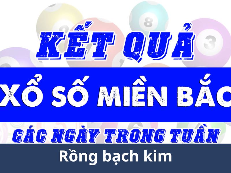 rông bach kim rông bach kim
