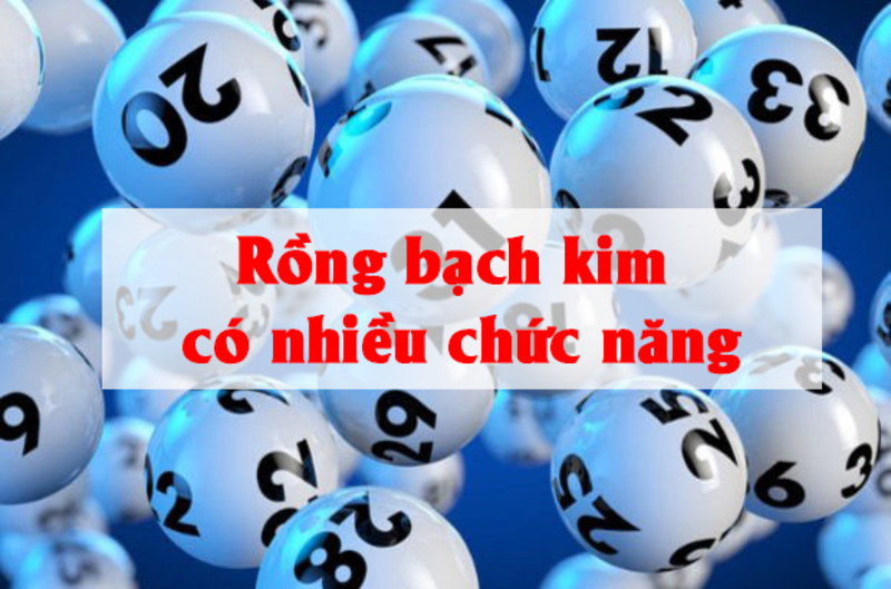 Các tính năng chính của rồng bạch kim