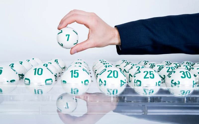 Rông bạch kim Rông bạch kim