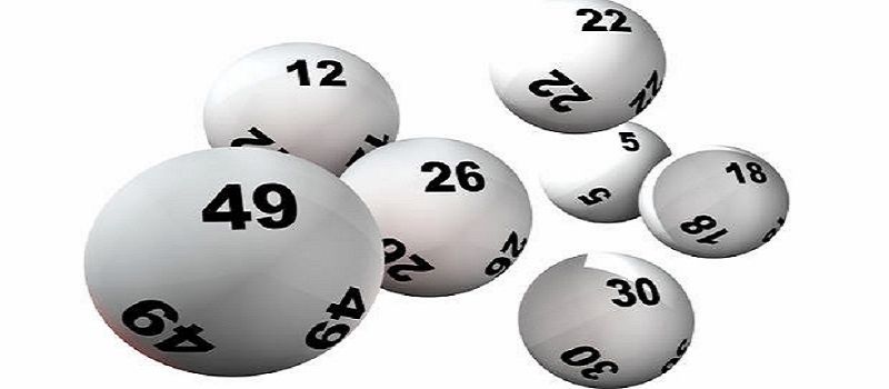 Rong bach kim Rong bach kim