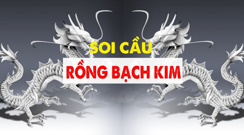 Rông bach kim