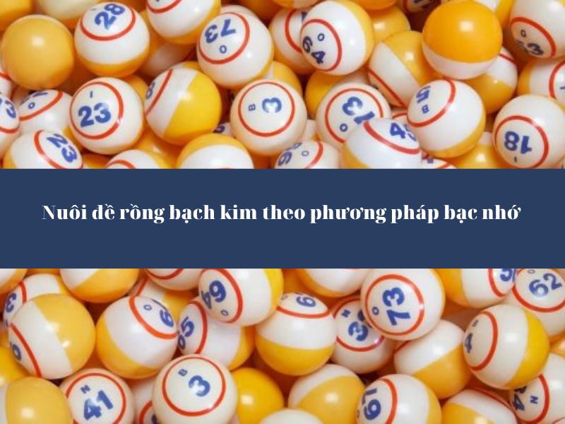 rông bach kim rông bach kim