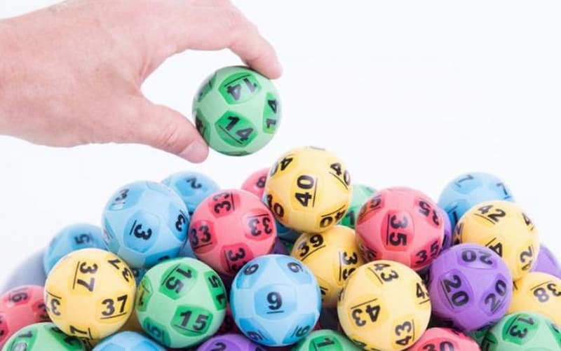 Rông bạch kim Rông bạch kim