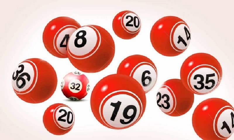 Rong Bach Kim Rong Bach Kim