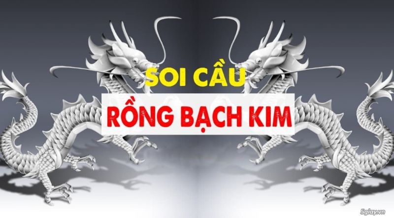 rồng bạch kim chính xác 100