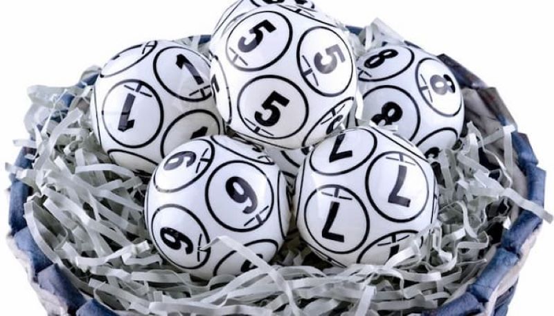 rồng bạch kim chính xác 100 rồng bạch kim chính xác 100