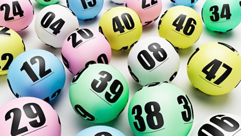 rồng bạch kim chính xác 100