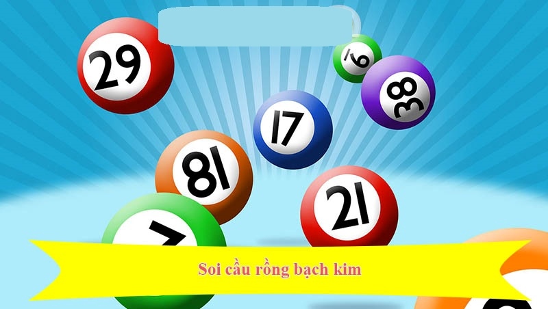 Tìm hiểu về Rongbachkim