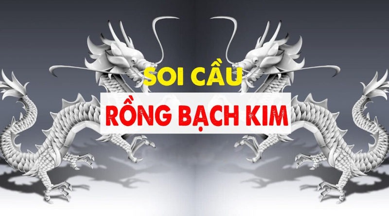 Tổng quan về lô kép rồng bạch kim là gì?