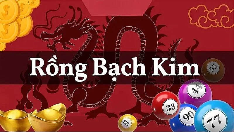 Rồng Bạch Kim chính xác 100 hoạt động có hiệu quả không?