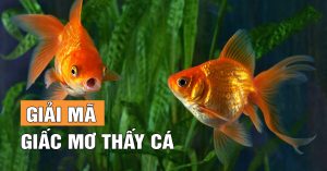 Giải Mã Giấc Mơ Thấy Cá Biểu Tượng Của Sự Giàu